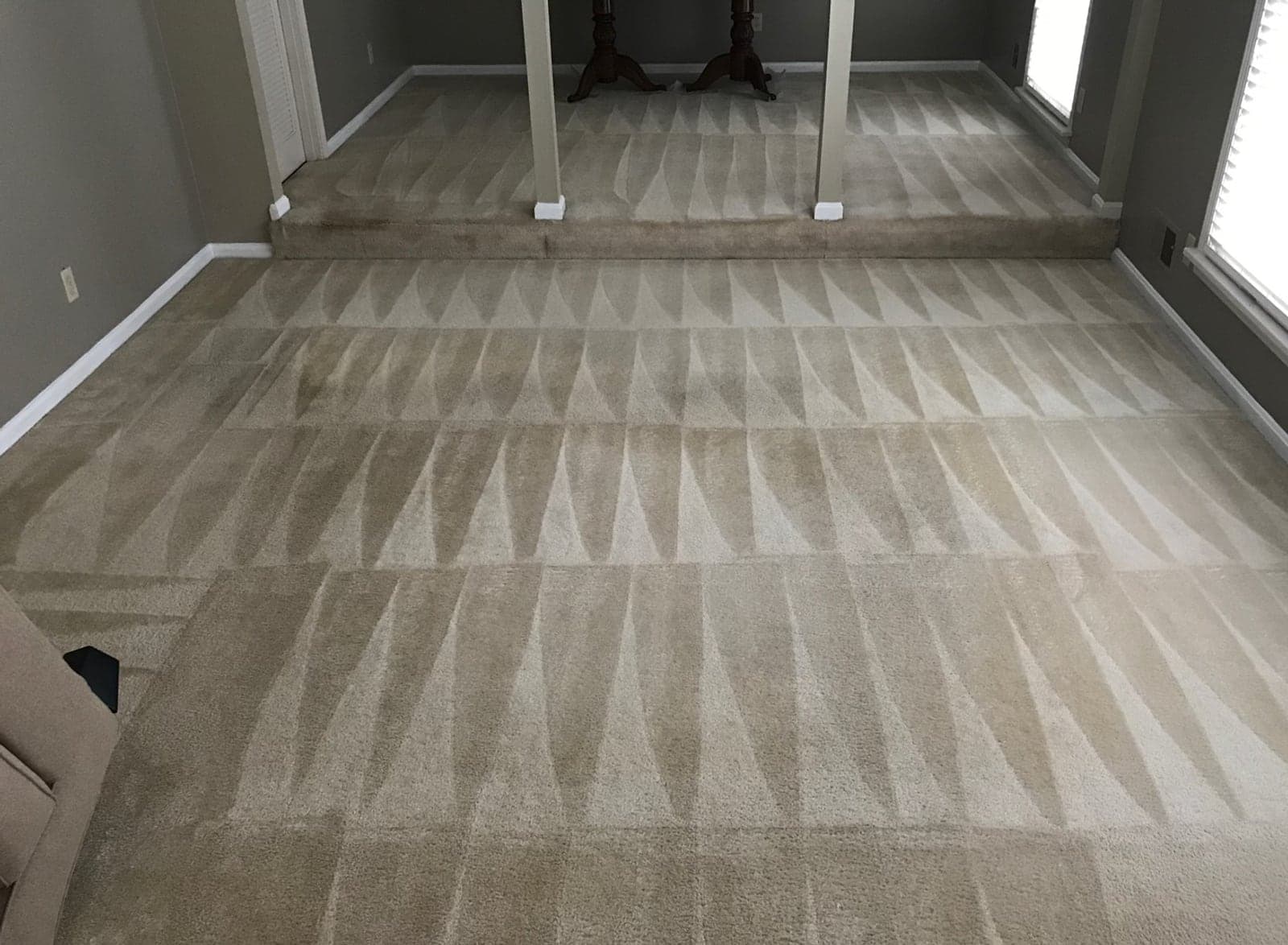 The same living room carpet after a Kaufman cleaning, with fresh wand marks