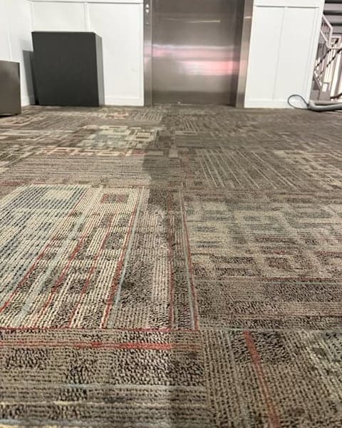 A patterned carpet in front of an elevator, cleaned on the left half and still dark with ground-in dirt on the right half