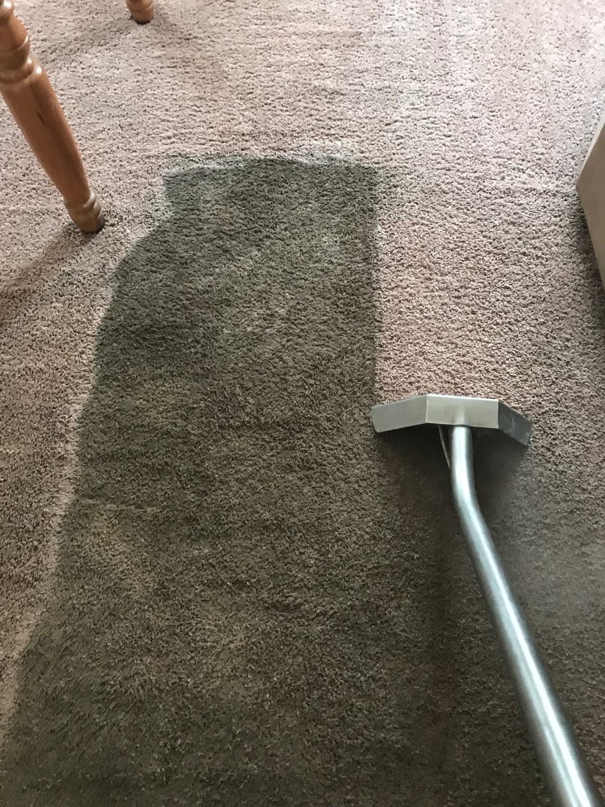 A carpet cleaning wand leaving a freshly cleaned path across a living room carpet